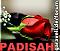 PADISAH